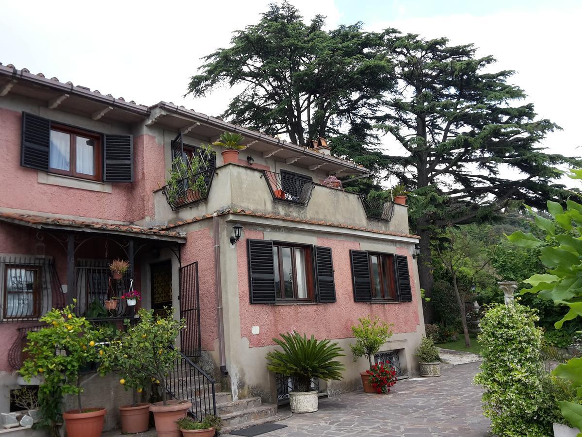 Bed&Breakfast "Fiorella" Sul Lago Castel Gandolfo Exterior foto